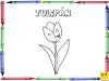 Dibujo para colorear con los niños de un tulipán