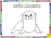Dibujo para colorear con los niños de un león marino