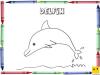 Dibujo para colorear con los niños de un delfín