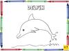 Dibujo para colorear con los niños de un delfín