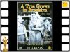 La actriz Peggy Ann Garner ganadora de un Oscar por A Tree Grows in Brooklyng