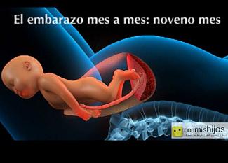 Vídeo de el feto en el noveno mes de embarazo