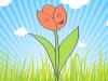 Dibujos de flores para niños. Cómo dibujar un tulipán