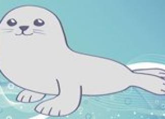 Cómo dibujar una foca. Dibujos infantiles de animales marinos