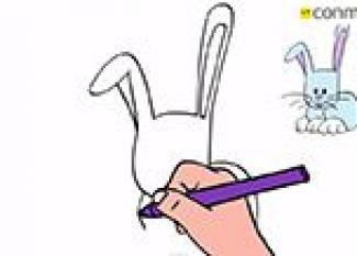 Cómo dibujar un conejo. Dibujos para niños