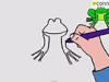 Cómo dibujar una rana. Dibujos para niños