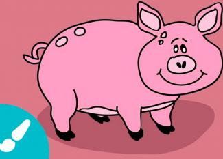 Cómo dibujar un cerdo. Dibujos para niños