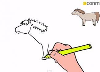 Cómo dibujar un pequeño poni