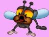 Una mosca viene volando: Canciones infantiles populares