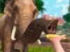 Zoo Tycoon. Juego familiar para Xbox One