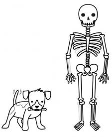 Esqueleto deshuesado.: dibujo para colorear e imprimir