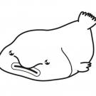 Blobfish: dibujo para colorear e imprimir