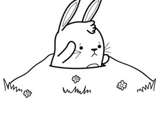 Conejito: dibujo para colorear e imprimir