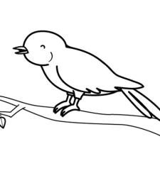 Pajarito piando: dibujo para colorear e imprimir