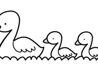 Patitos amarillos: dibujo para colorear e imprimir