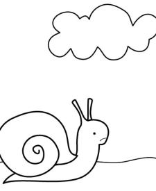 Caracol feliz: dibujo para colorear e imprimir