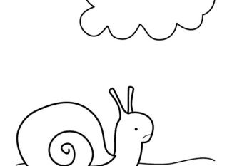 Caracol feliz: dibujo para colorear e imprimir