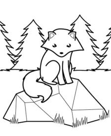 Zorro polar en el bosque: dibujo para colorear e imprimir