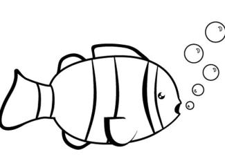 Pez payaso: dibujo para colorear e imprimir