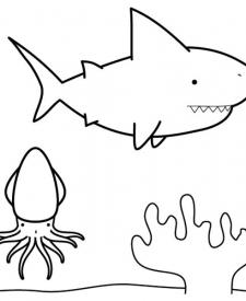 Tiburón buscando calamar: dibujo para colorear e imprimir