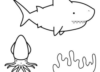 Tiburón buscando calamar: dibujo para colorear e imprimir