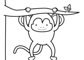 Mono divirtiéndose: dibujo para colorear e imprimir