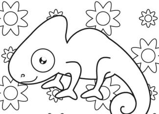 Camaleón invisible: dibujo para colorear e imprimir