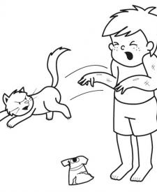 ¡Gato enfadado!: dibujo para colorear e imprimir