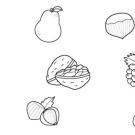 Frutas de otoño: dibujo para colorear e imprimir