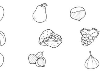 Frutas de otoño: dibujo para colorear e imprimir