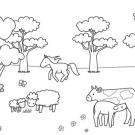 Animales en el campo: dibujo para colorear e imprimir