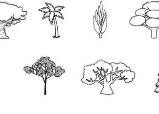 Árboles: dibujo para colorear e imprimir