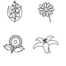 Imágenes de flores: dibujo para colorear e imprimir