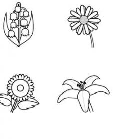Imágenes de flores: dibujo para colorear e imprimir