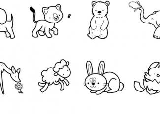 Crías de animales: dibujo para colorear e imprimir