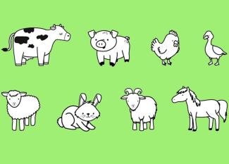 Animales de la granja: dibujo para colorear e imprimir