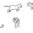 Felinos: dibujo para colorear e imprimir