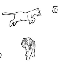 Felinos: dibujo para colorear e imprimir