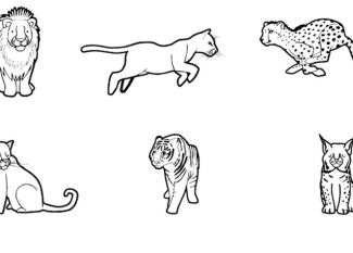 Felinos: dibujo para colorear e imprimir