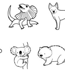 Animales de Australia: dibujo para colorear e imprimir