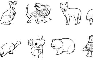 Animales de Australia: dibujo para colorear e imprimir