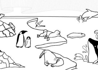 Animales del hielo: dibujo para colorear e imprimir