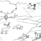 Animales de la montaña: dibujo para colorear e imprimir