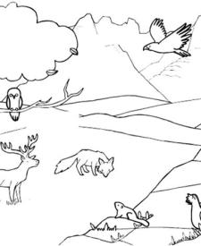 Animales de la montaña: dibujo para colorear e imprimir