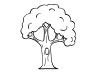 Árbol: dibujo para imprimir y colorear