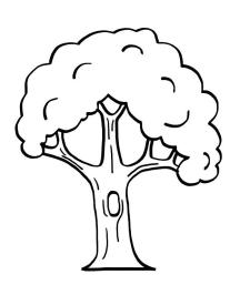 Árbol: dibujo para imprimir y colorear