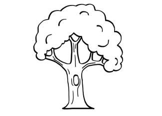 Árbol: dibujo para imprimir y colorear