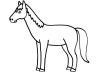 Un caballo: dibujo para colorear e imprimir