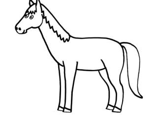 Un caballo: dibujo para colorear e imprimir