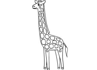 Una jirafa: dibujo para colorear e imprimir